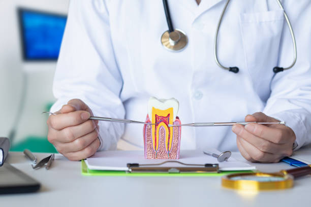 Best Emergency Dental Services for Seniors in Erwin, NC
